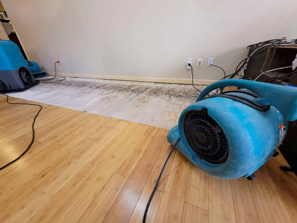 Reliable Flood Damage Restoration contractor in Ridgecrest, NC by Hirex Water Damage